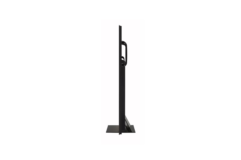 LG Public Display UltraFine OLED Pro 65EP5G-B