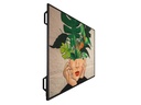 Philips Public Display D-Line 32BDL4511D/00