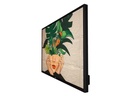 Philips Public Display 65BDL4550D/00