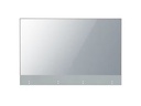 LG Public Display OLED 55EW5G-V Transparent