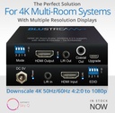 Blustream SC11HD-V2
