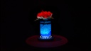 Chauvet DJ Freedom Centerpiece
