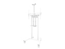 NewStar Support caméra Blanc