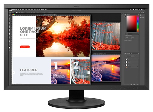 [22431] Eizo CS2740 Swiss Edition