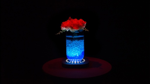 [FREEDOMCENTER] Chauvet DJ Freedom Centerpiece